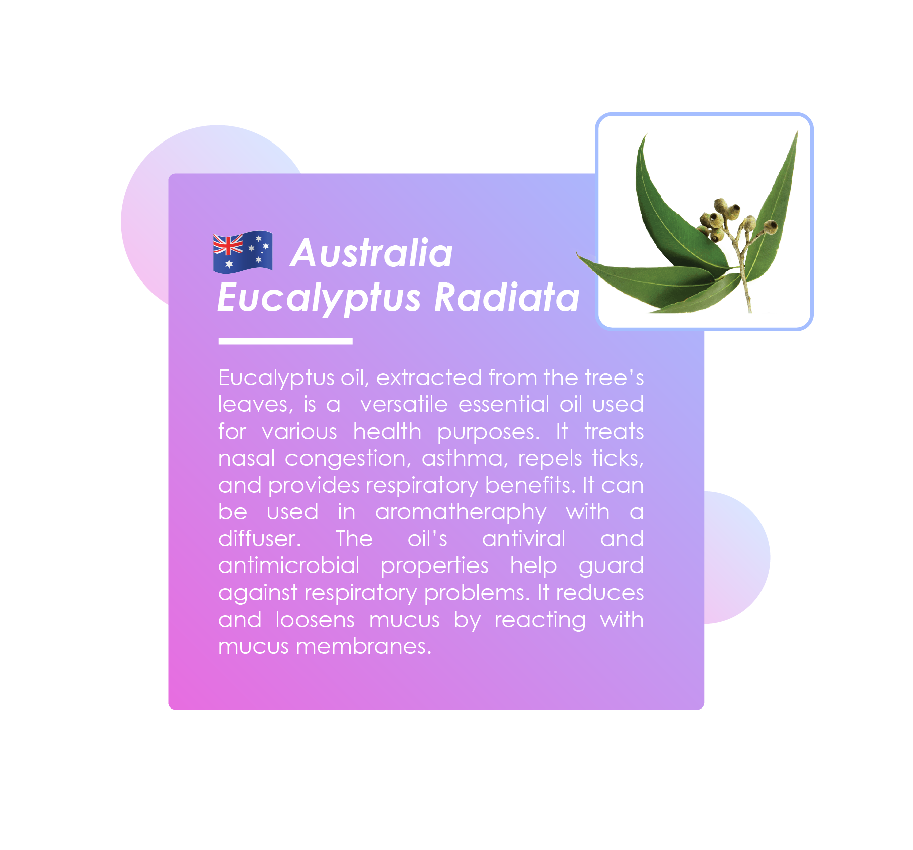 BreatheCLOUD Ingredient