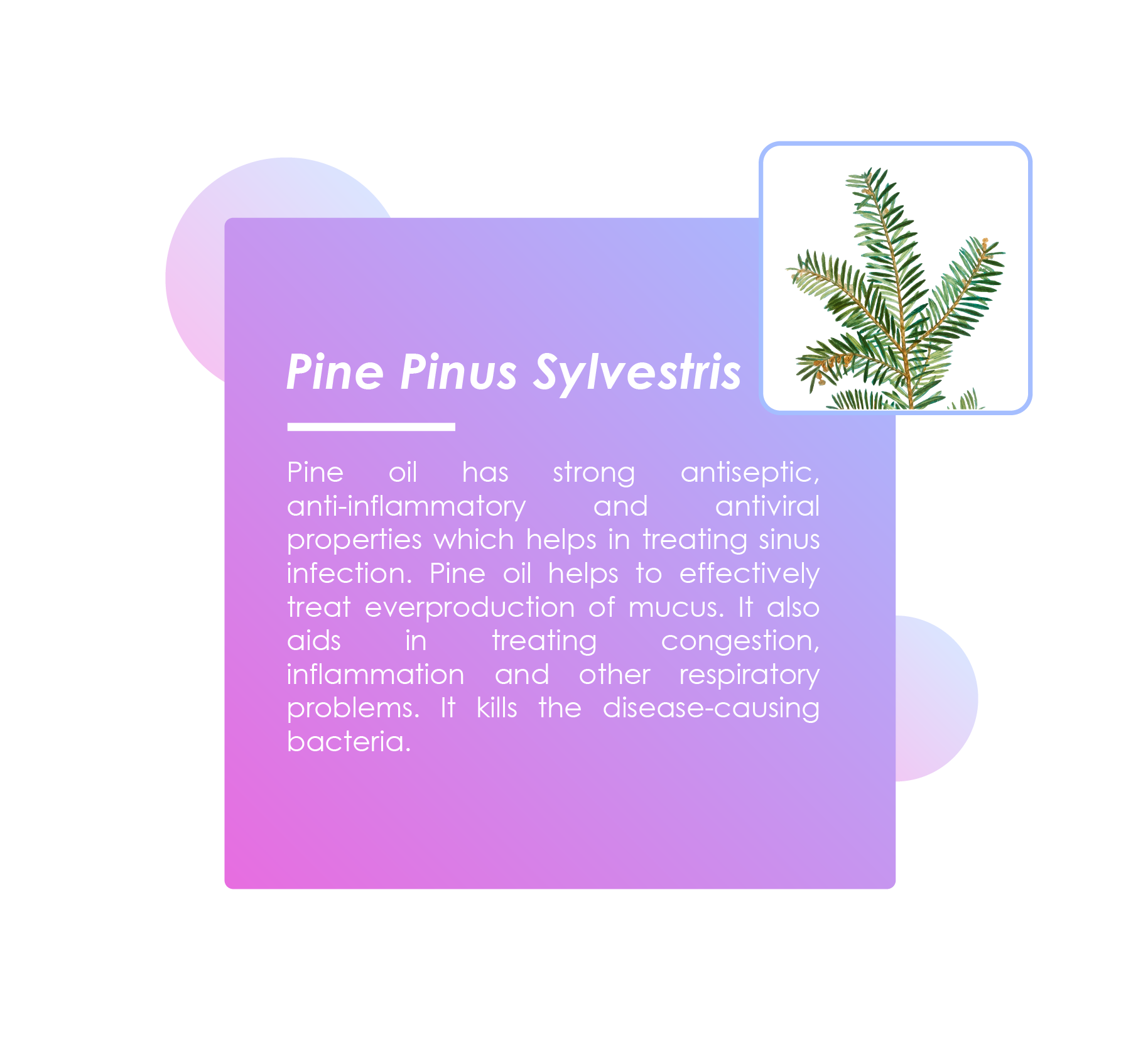 BreatheCLOUD Ingredient